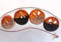 Bitez (Bitter Çikolatalı Bodrum Mandalinası)