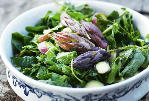 ISIRGAN OTLU KUŞKONMAZ SALATASI