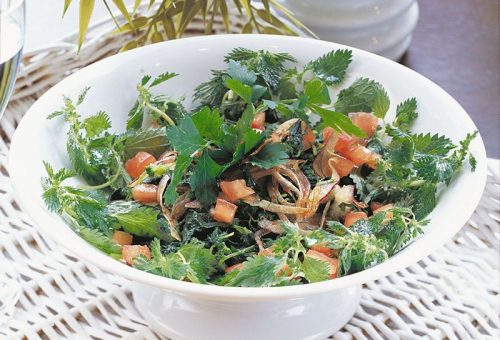Isırgan otu salatası