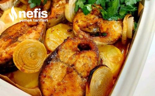 Salça Soslu Fırın Palamut
